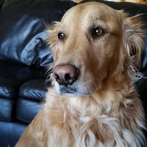 Meet your Posher, Deb